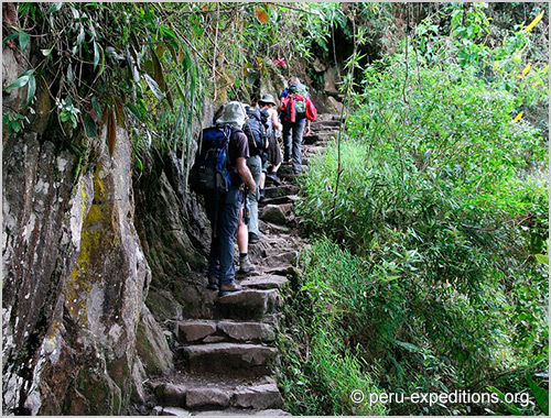 Peru: Trekking Salkantay to Machu Picchu, the highest pass (4600 m) 