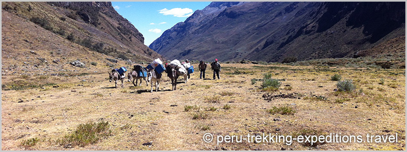 Peru: Trekking Quilcayhuanca - Crossing Cojup & Climb Nevado Ishinca (5530 m). A beautiful hike in the Andean 