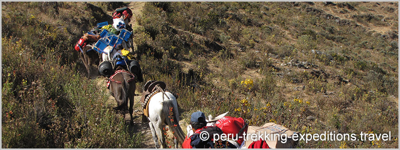 Peru: Trekking Santa Cruz and Climbing Nevado Pisco (5752 m)